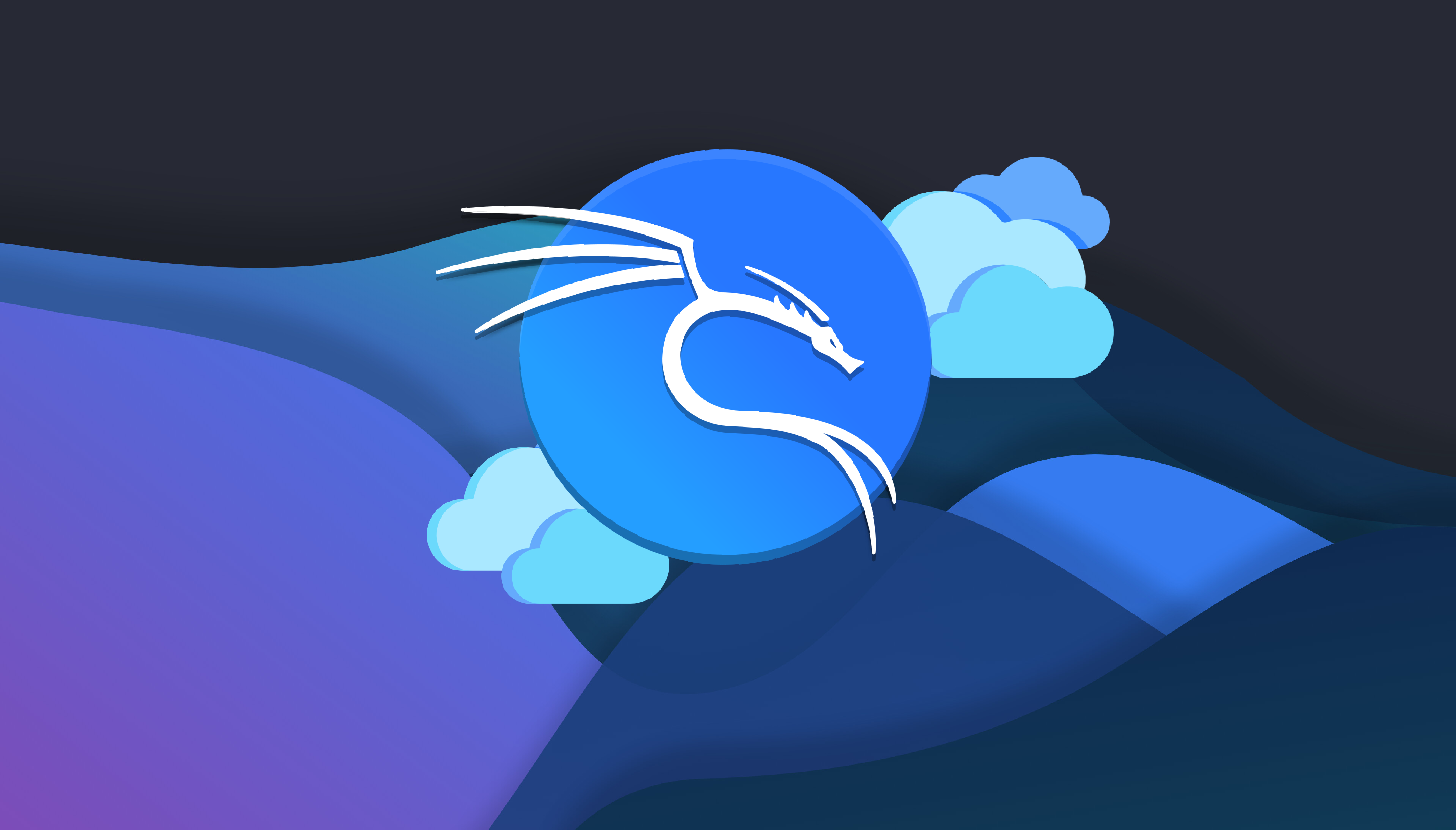 Kali Linux in the Cloud: Unlock Your Hacking Potential with Selfmade Ninja Labs